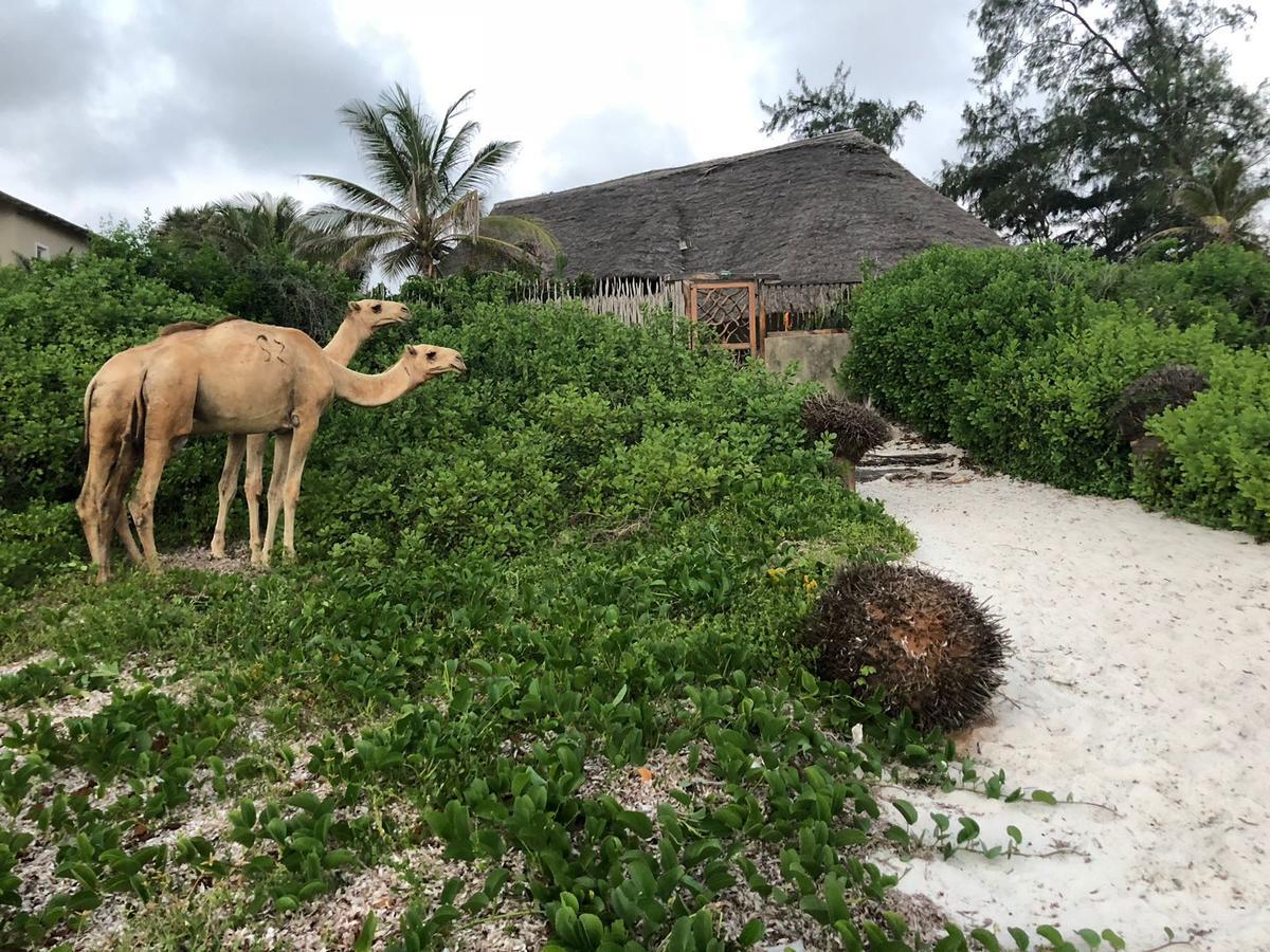 Sunset Beach Resort Watamu Bagian luar foto